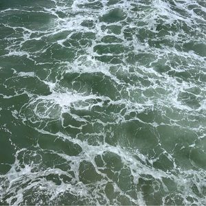 Meet your Posher, Ava